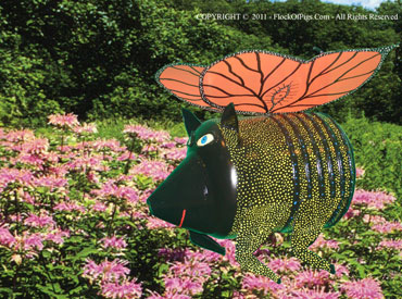 flying_pig_butterfly_pig.jpg